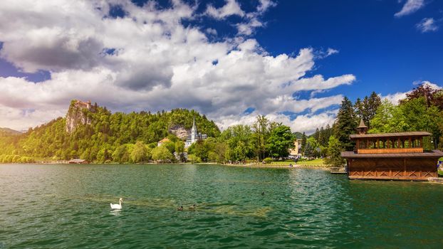 Amazing sunny scenery of Bled castle and St. Martin's Church and Bled town with reflection in the lake and the Julian Alps on background. Bled Lake, Slovenia.