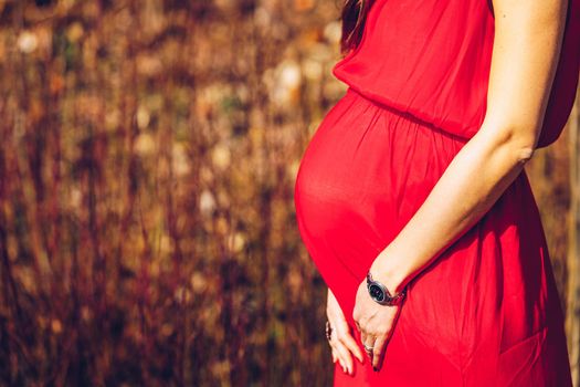Beautiful pregnant woman feeling happy in nature while taking care of her child. Young expecting mother holding baby in pregnant belly. Maternity prenatal care and woman pregnancy concept.