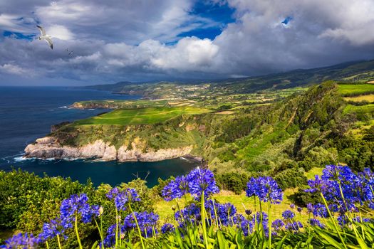 View from Miradouro de Santa Iria on the island of São Miguel in the Azores. The view shows part of the northern coastline with cliffs and green fields on the clifftop. Azores, Sao Miguel, Portugal
