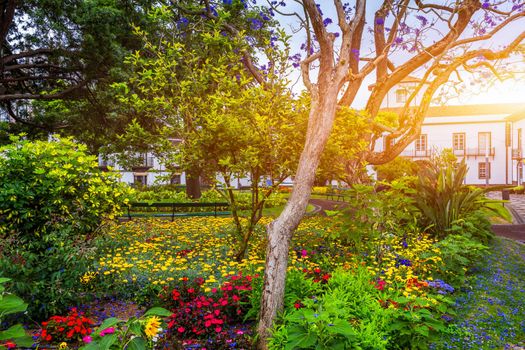 Beautiful Jardim Sena Freita, located in the historic center of Ponta Delgada city on Sao Miguel island. Azores, Sao Miguel, Portugal.