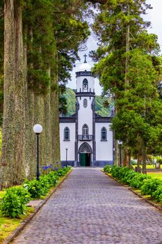 Church of Sao Nicolau (Saint Nicolas) with an alley of tall trees and hydrangea flowers in Sete cidades on Sao Miguel island, Azores, Portugal. Parish Church of St. Nicholas, Sete Cidades, Azores.