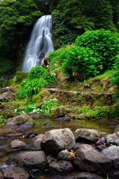 Waterfall at  Parque Natural Da Ribeira Dos Caldeiroes, Sao Miguel, Azores, Portugal. Beautiful waterfall surrounded with hydrangeas in Ribeira dos Caldeiroes park, Sao Miguel, Azores, Portugal