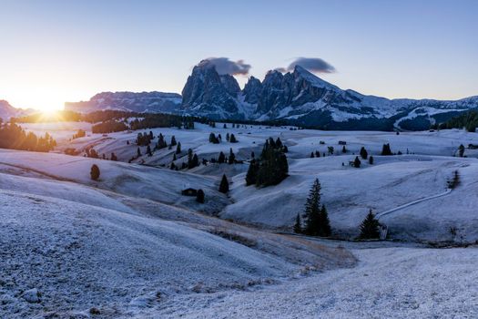 Alpe di Siusi or Seiser Alm with Sassolungo, Langkofel mountain group in background. Alpe di Siusi or Seiser Alm, Sassolungo and Sassopiatto mountains, Trentino Alto Adige, Sud Tyrol, Italy, Europe.