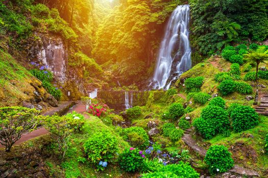 Waterfall at  Parque Natural Da Ribeira Dos Caldeiroes, Sao Miguel, Azores, Portugal. Beautiful waterfall surrounded with hydrangeas in Ribeira dos Caldeiroes park, Sao Miguel, Azores, Portugal