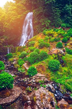 Waterfall at  Parque Natural Da Ribeira Dos Caldeiroes, Sao Miguel, Azores, Portugal. Beautiful waterfall surrounded with hydrangeas in Ribeira dos Caldeiroes park, Sao Miguel, Azores, Portugal