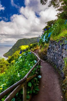 Viewpoint Ponta do Sossego, Sao Miguel Island, Azores, Portugal. View of flowers on a mountain and the ocean in Miradouro da Ponta do Sossego Nordeste, Sao Miguel, Azores, Portugal. 