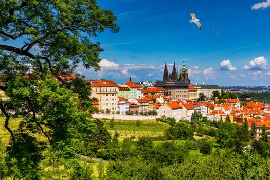 Prague Castle and Lesser Town panorama. View from Petrin Hill. Prague, Czech Republic. Spring Prague panorama from Prague Hill with Prague Castle, Vltava river and historical architecture. Czechia.