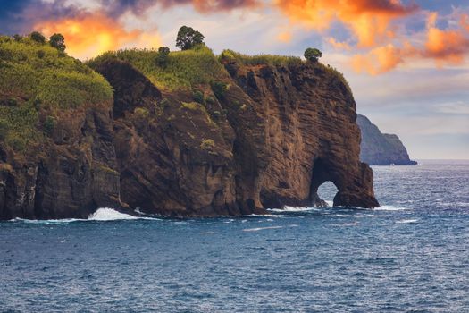 Elephant trunk figure by the sea, San Miguel Island, Azores, Portugal. Close up of elephant trunk figure, Azores, Portugal. 