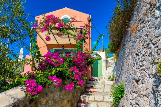 Traditional street with greek houses with flowers in Assos, Kefalonia island. Traditional colorful greek houses in Assos village. Blooming fuchsia plant flowers. Kefalonia island, Greece