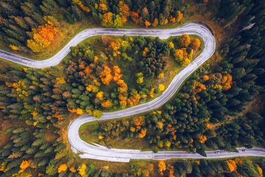 Curved bending road in the forest. Aerial image of a road. Forrest pattern. Scenic curvy road seen from a drone in autumn. Aerial top down view of zig zag winding mountain road, drone shot.