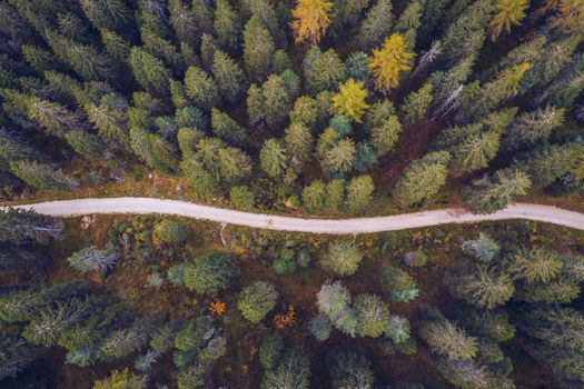 Scenic aerial view of a winding trekking path in a forest. Trekking path in the forest from above, drone view. Aerial top view of a trail in the middle of a forest. Aerial view of footpath in forest.