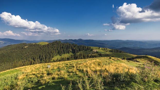 Summer alpine Transylvania landmark, landscape with green fields and valleys, high Piatra Craiului mountains, Carpathians, Transylvania, Romania, Europe