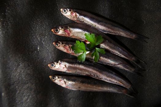 Presenting series anchovy crude above background black stone