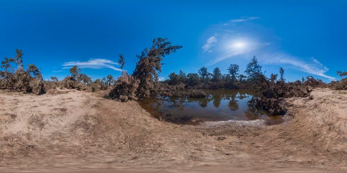Spherical panoramic photograph of fallen trees near the Grose River after severe flooding in Yarramundi Reserve in the Hawkesbury region of New South Wales in Australia