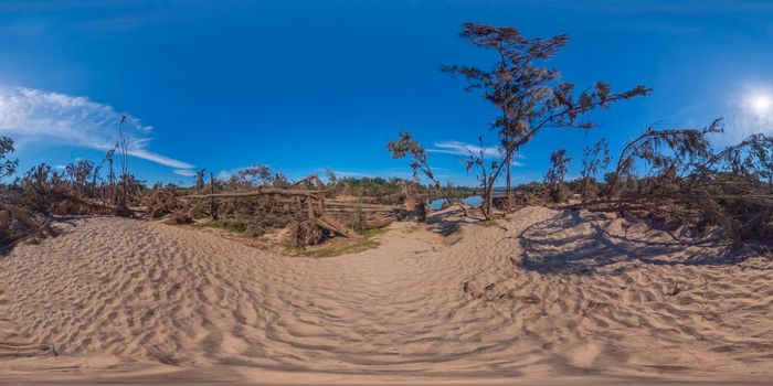 Spherical panoramic photograph of fallen trees after severe flooding in Yarramundi Reserve in the Hawkesbury region of New South Wales in Australia