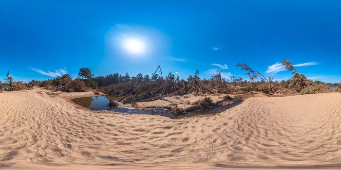 Spherical panoramic photograph of fallen trees after severe flooding in Yarramundi Reserve in the Hawkesbury region of New South Wales in Australia