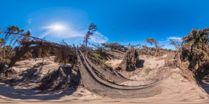 Spherical panoramic photograph of fallen trees near the Grose River after severe flooding in Yarramundi Reserve in the Hawkesbury region of New South Wales in Australia