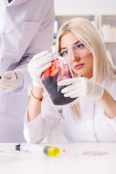 Woman female doctor looking at blood samples in bag