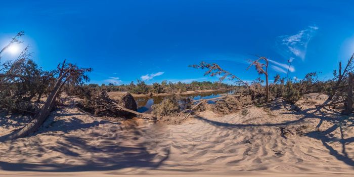 Spherical panoramic photograph of fallen trees after severe flooding in Yarramundi Reserve in the Hawkesbury region of New South Wales in Australia