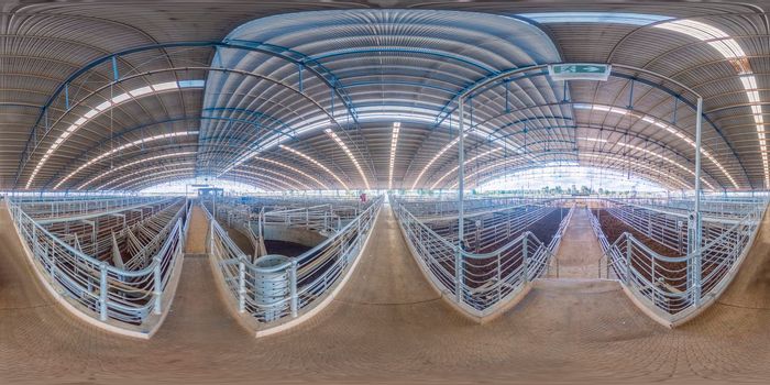 The Central West Livestock Exchange sale yards near Forbes in regional New South Wales in Australia