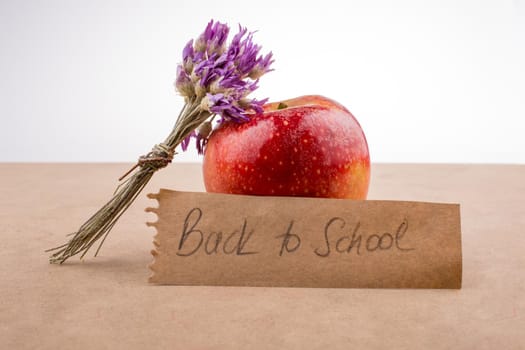 Back to school lettering with an apple and a  bunch of flower