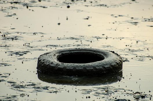 Old car tire in the mud during sunrise.