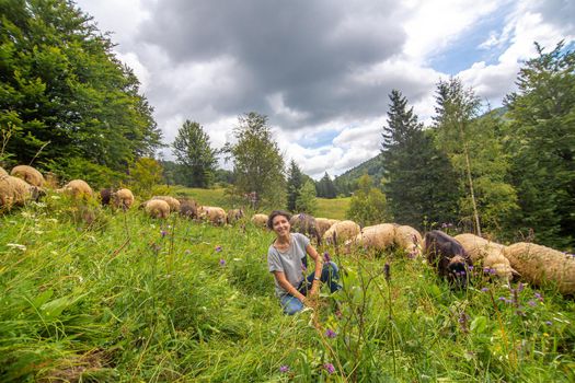 Young beautiful girl shepherd grazes a herd of sheeps in a green field.