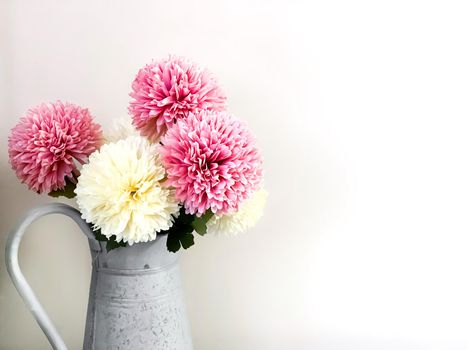 Group of dahlia flowers in a pitcher. Interior design and white background