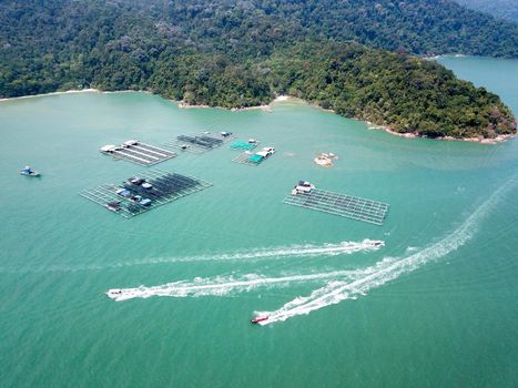 Fishing boats move near fishing farm at Teluk Bahang.