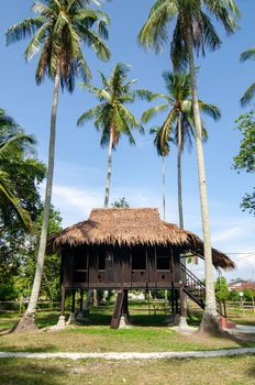 Malays wooden house in coconut farm at Kampung Agong, Penang. Blue sunny sky.