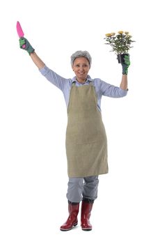 Mature woman gardener worker with flowers in pot and scoop in raised arms isolated on white background, full length portrait