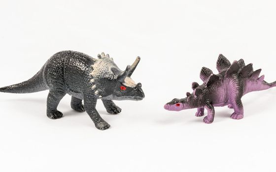 Stegosaurus and triceratops dinosaur toy models, isolated on white background