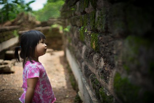 little girl looking a grass on the old rock wall