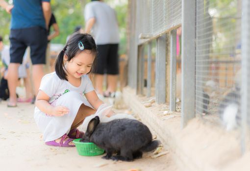 Cute little girl feeding rabbit on the farm