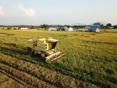 Georgetown, Penang/Malaysia - Feb 29 2020: Rice harvester in paddy field.