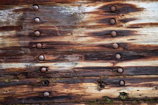 Old textures wooden peeled board with rusty nails