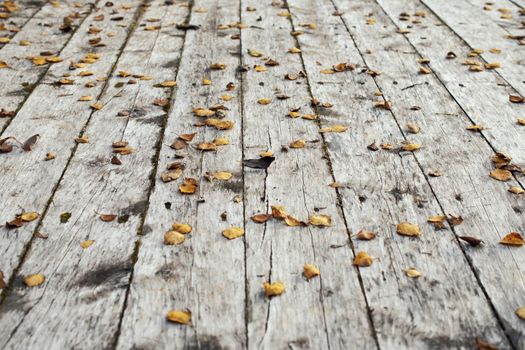 Old textures wooden peeled board with rusty nails