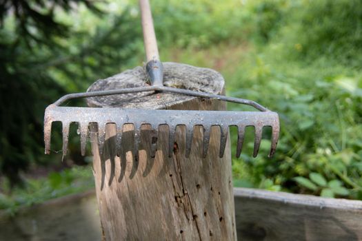 Tools for gardening in leisure time