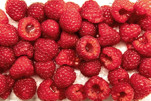 Red bright tasty raspberry with waterdrops flat view
