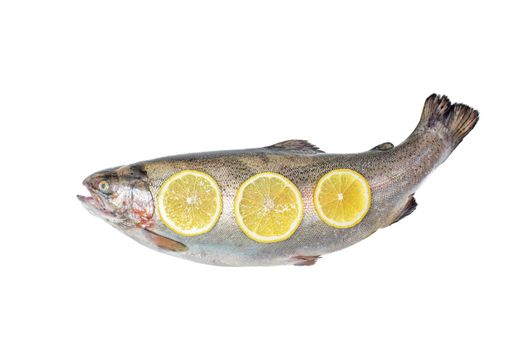 View above the whole big a salmon fish with lemon slices isolated on a white background