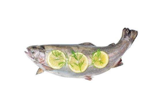 View above the whole big a salmon fish with lemon slices isolated on a white background