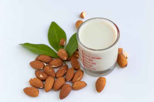 Almonds are useful to help fight free radicals. Strengthens the immune system in the body
Helps to slow down aging and wrinkles of age well