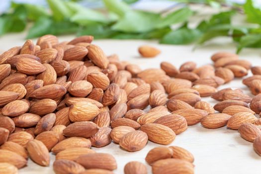 Almonds Delicious. Almonds isolated on white background.