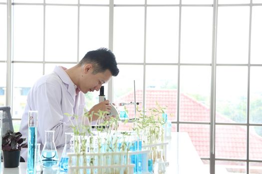Asian scientists or chemists use a microscope. In science experiment Medical pharmaceutical research concept DNA structure, innovation and technology