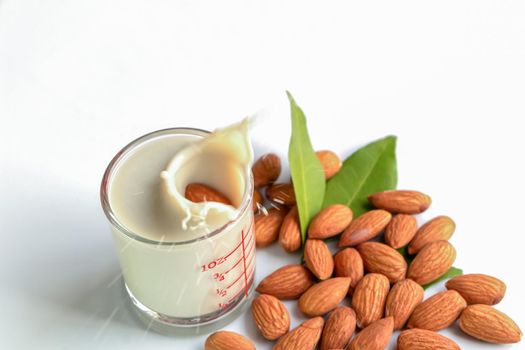 Almonds are useful to help fight free radicals. Strengthens the immune system in the body
Helps to slow down aging and wrinkles of age well