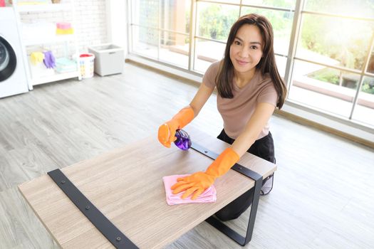 An Asian woman smiles, a beautiful housewife wears protective gloves to do housework, uses products to wipe clean the tables in the living room at home in the sun. Corona Covid-19 Virus Protection