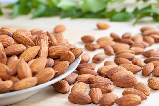 Almonds are useful to help fight free radicals. Strengthens the immune system in the body
Helps to slow down aging and wrinkles of age well