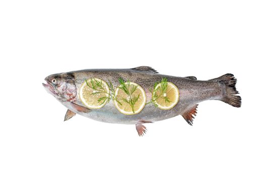 View above the whole big a salmon fish isolated on a white background