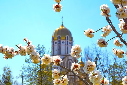 Beautiful church,sky and bright yellow spring flowers. a building used for public Christian worship