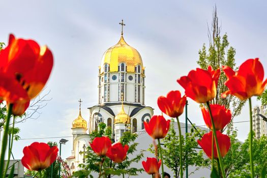 Beautiful church,sky and bright spring tulips. a building used for public Christian worship